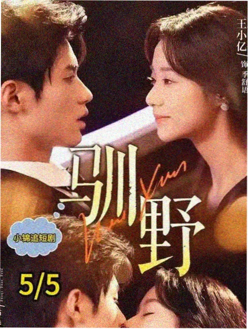 长安十日免费在线观看